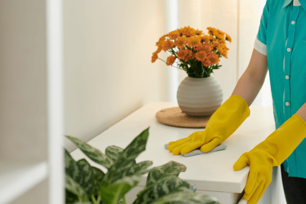 Housekeeping and maintenance